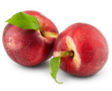 Beef Club & T-Bone Per kg