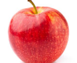 East Coast Small Sole Fish